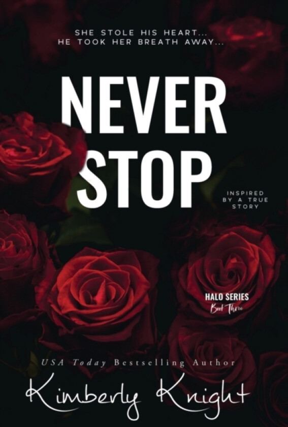 Never Stop av Kimberly Knight (Paperback)