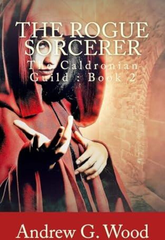 The Rogue Sorcerer av Andrew G Wood (Paperback)