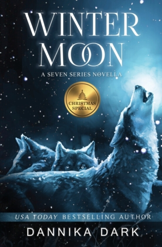 Winter Moon av Dannika Dark (Paperback)