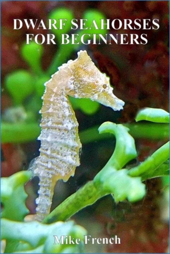 Dwarf Seahorses For Beginners av Mike French (Paperback)