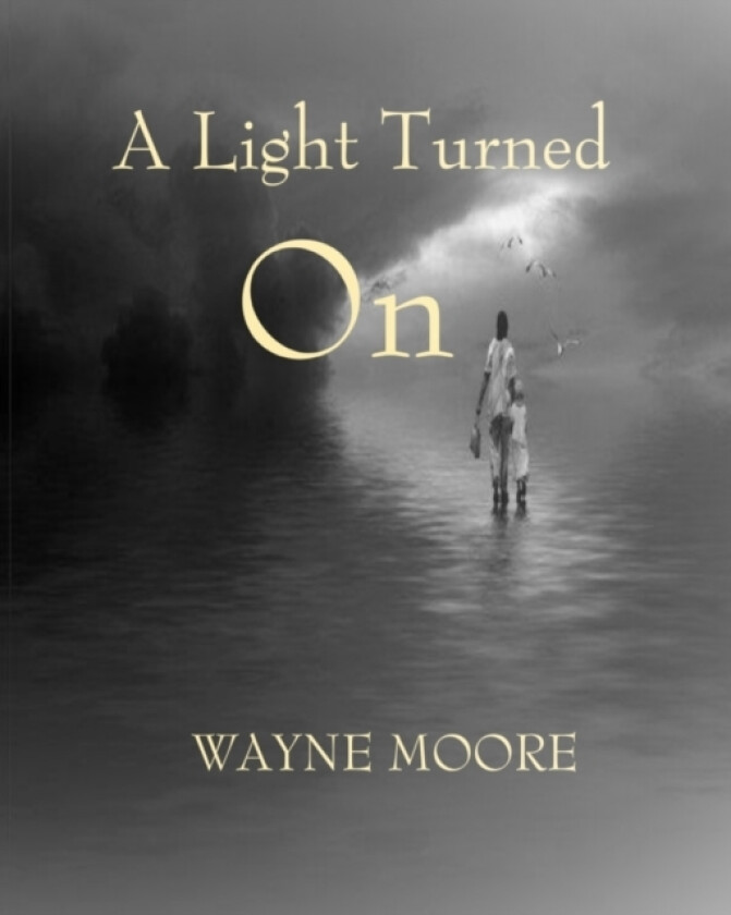 A Light Turned On av Wayne Moore (Paperback)