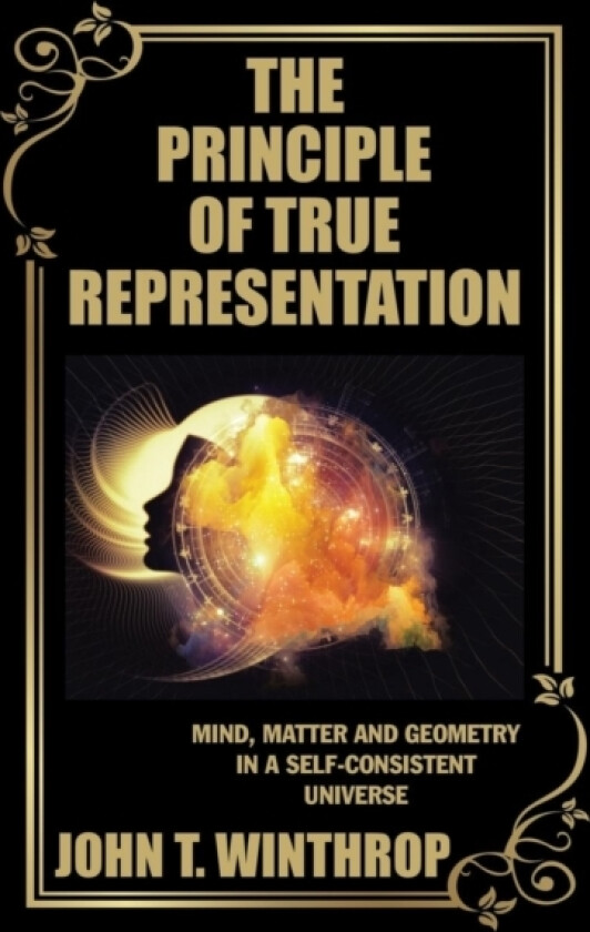 The Principle of True Representation av John T Winthrop (Paperback)