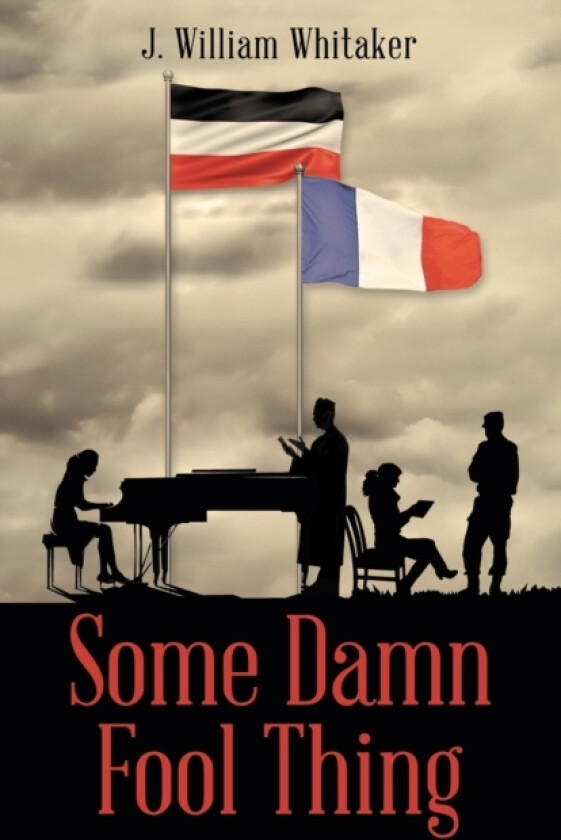 Some Damn Fool Thing av J William Whitaker (Paperback)