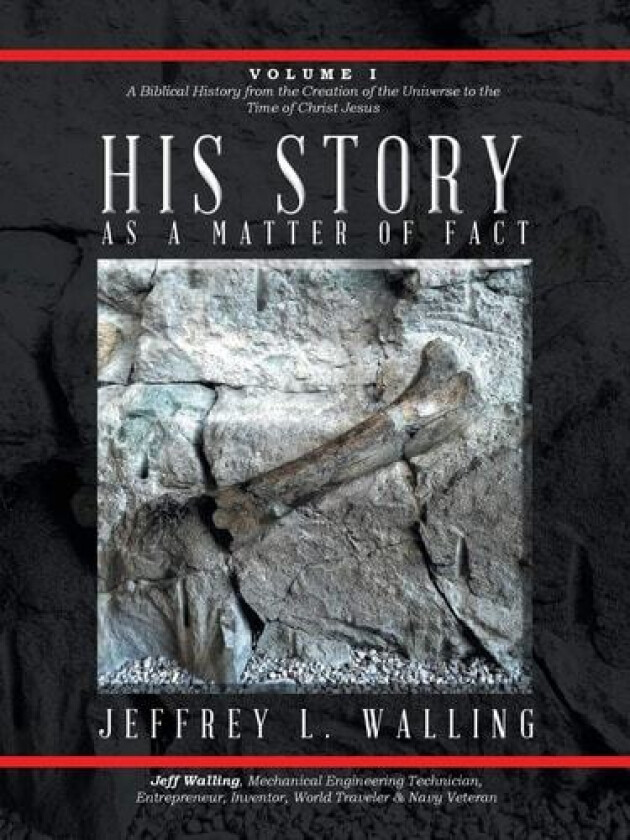 His Story av Jeffrey L Walling (Paperback)