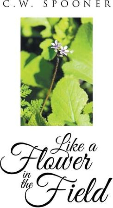 Like a Flower in the Field av C W Spooner (Paperback)