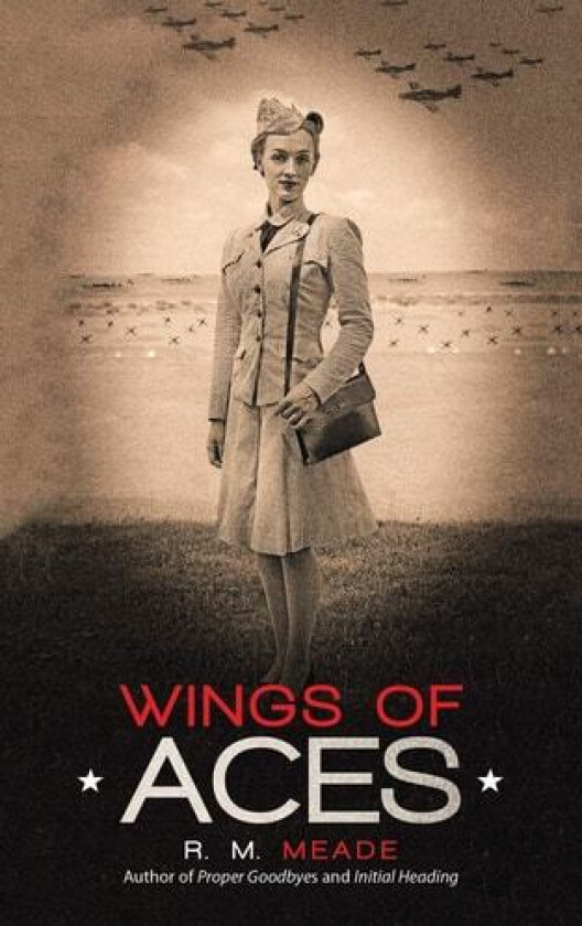 Wings of Aces av R M Meade (Paperback)