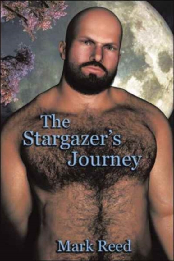 The Stargazer's Journey av Mark Reed (Hardcover)