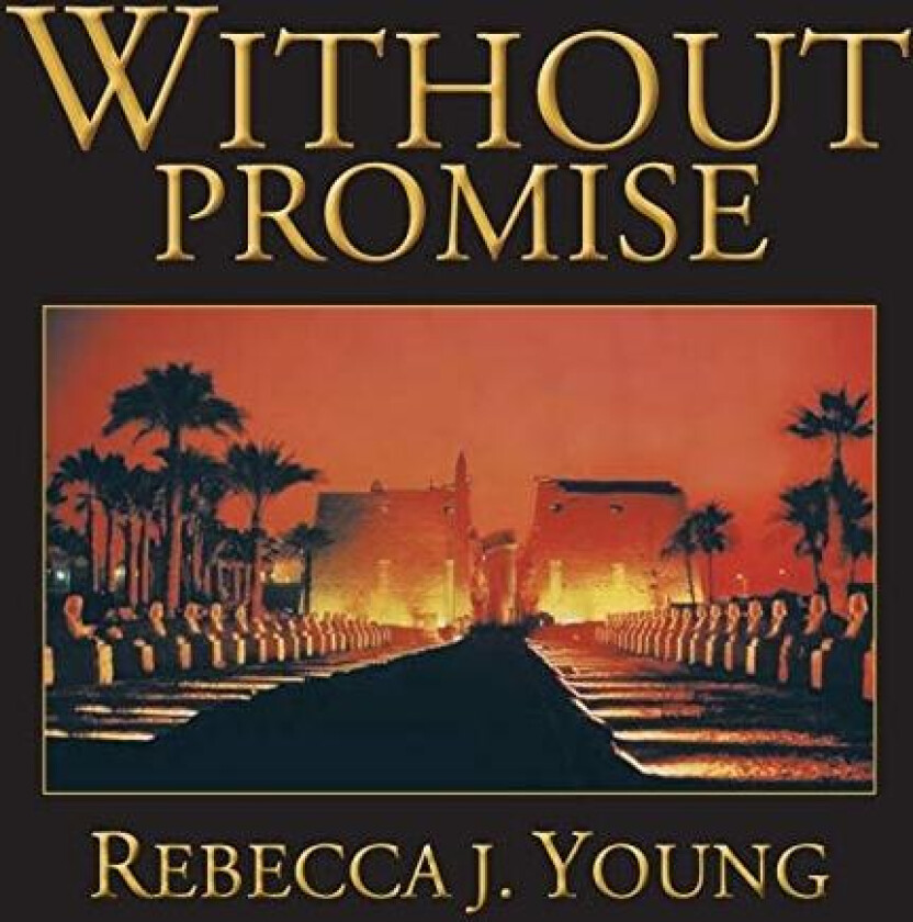 Without Promise av Rebecca J Young (Paperback)