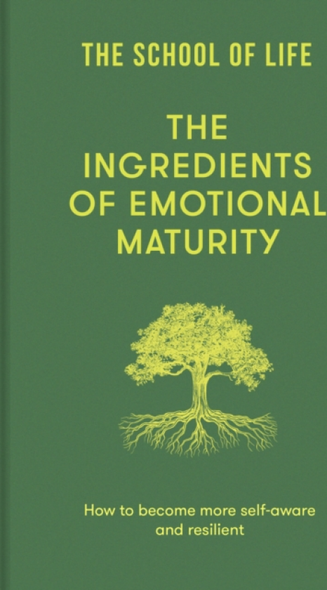 The Ingredients of Emotional Maturity How to become more selfaware and resilient