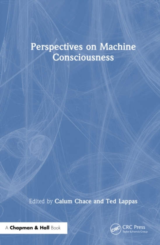 Perspectives on Machine Consciousness