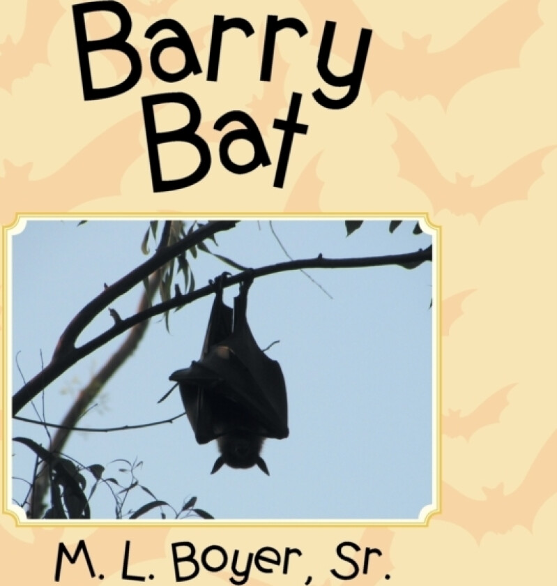 Barry Bat av M L Sr Boyer (Paperback)