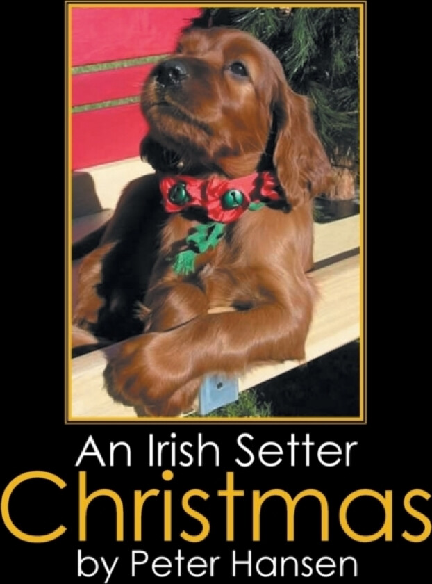 An Irish Setter Christmas av Senior Research Fellow Peter Hansen (Paperback)