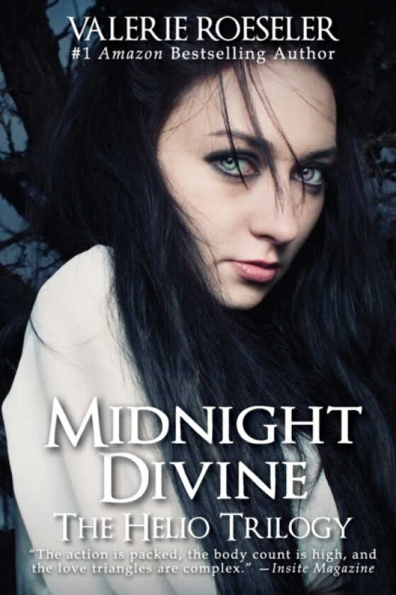Midnight Divine av Valerie Roeseler (Paperback)