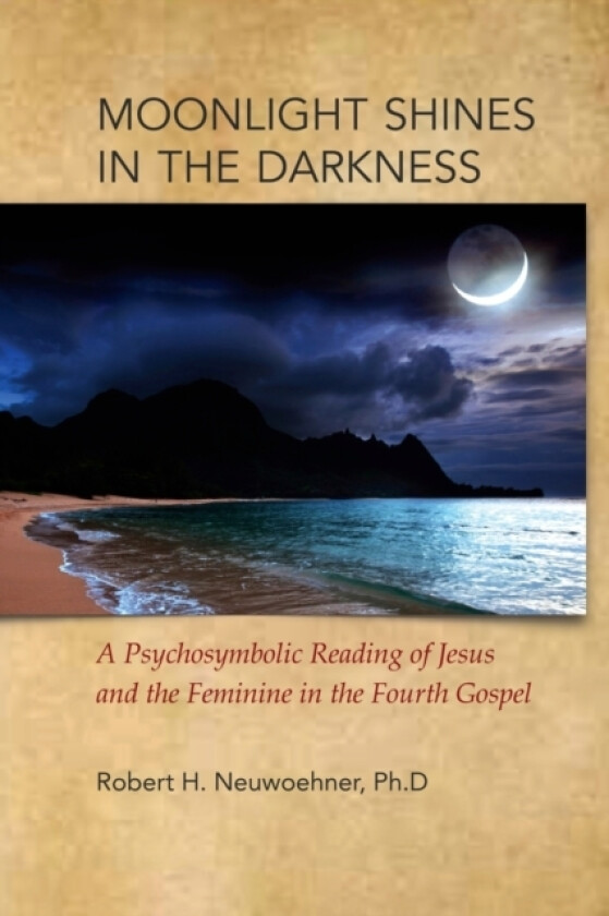 Moonlight Shines in the Darkness av Robert H PH D Neuwoehner (Paperback)