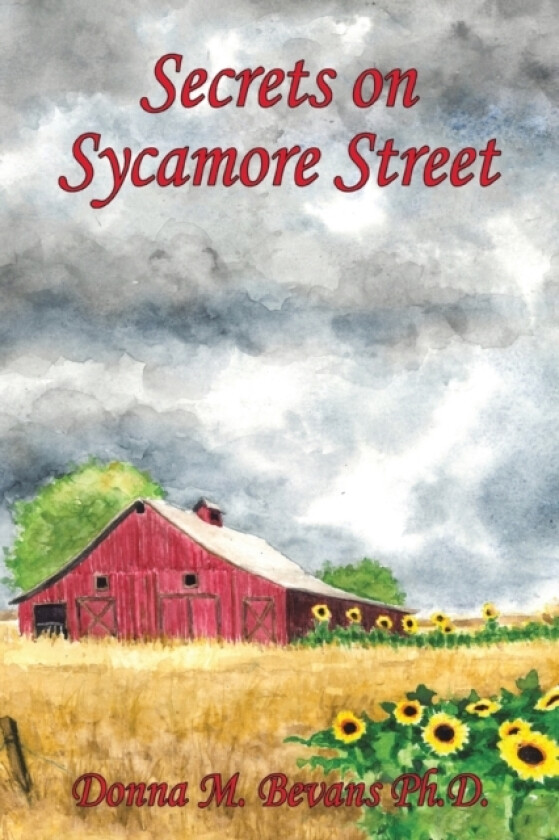 Secrets on Sycamore Street av Donna M PH D Bevans (Paperback)