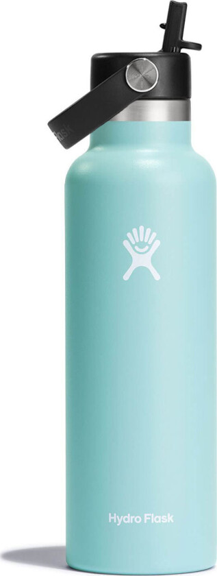 Standard Flex Straw 621 ml Dew 0.621 L, Dew