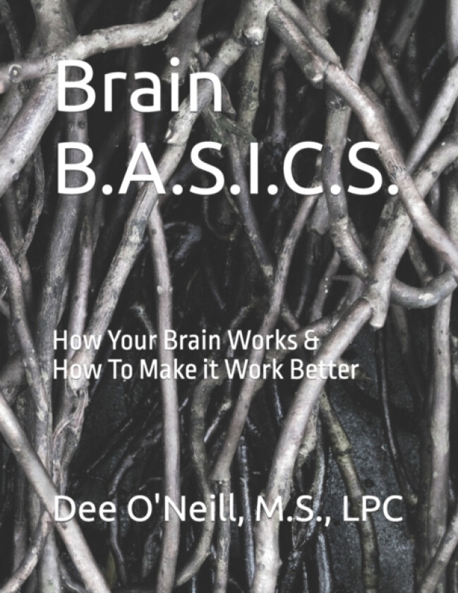 Brain BASICS Workbook av Dee Lincoln O'Neill-Warren (Paperback)