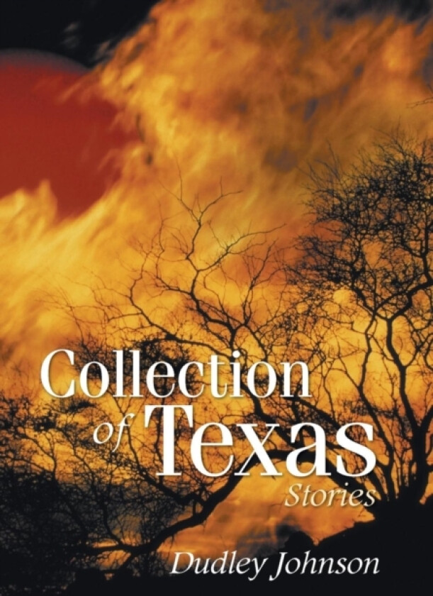 Collection of Texas Stories av Dudley Johnson (Hardcover)