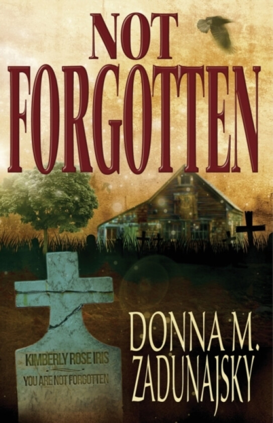 Not Forgotten av Donna M Zadunajsky (Paperback)