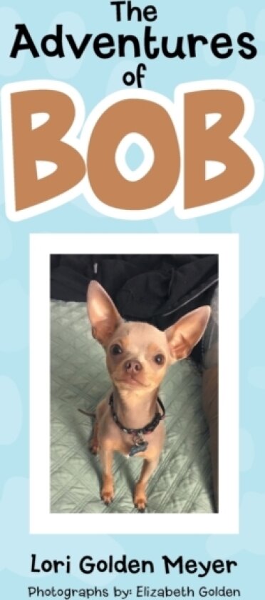 The Adventures of Bob av Lori Golden Meyer (Paperback)