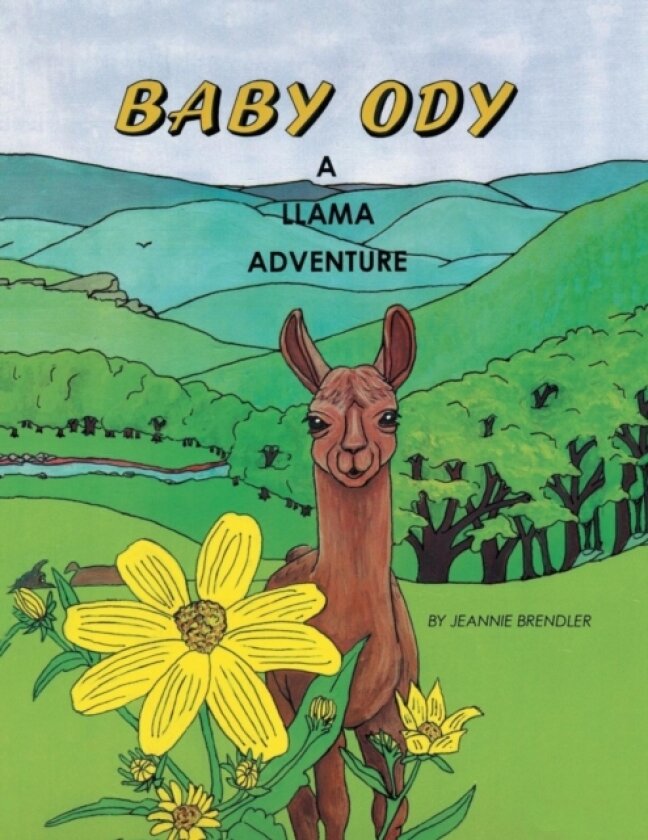 Baby Ody av Jeannie Brendler (Paperback)