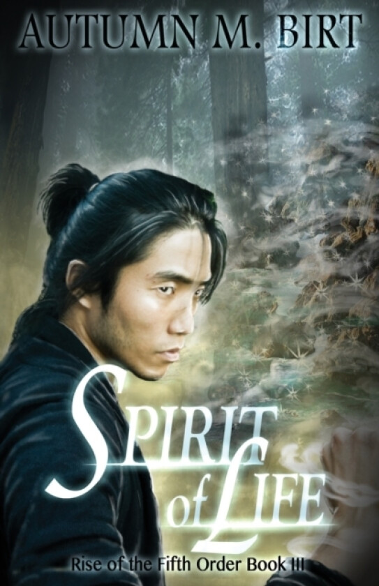 Spirit of Life av Autumn M Birt (Paperback)