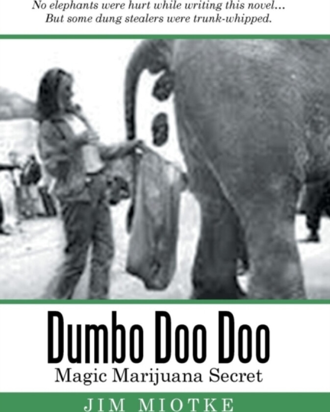 Dumbo Doo Doo av Jim Miotke (Hardcover)