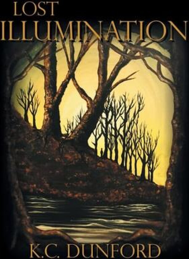 Lost Illumination av K C Dunford (Hardcover)