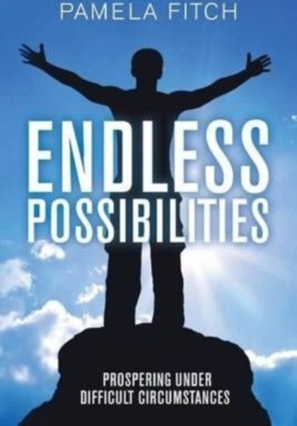 Endless Possibilities av Pamela Fitch (Paperback)