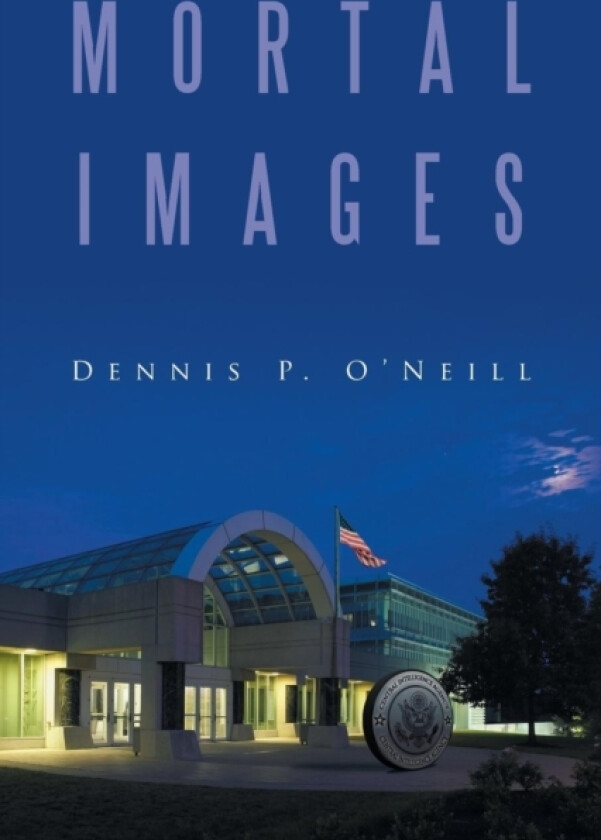 Mortal Images av Dennis P O'Neill (Paperback)