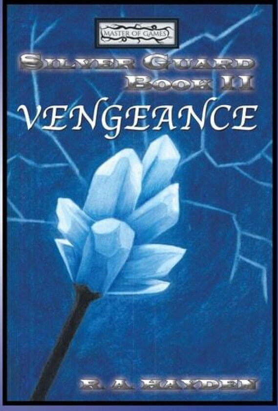 Silver Guard Book II Vengeance av R a Hayden (Hardcover)