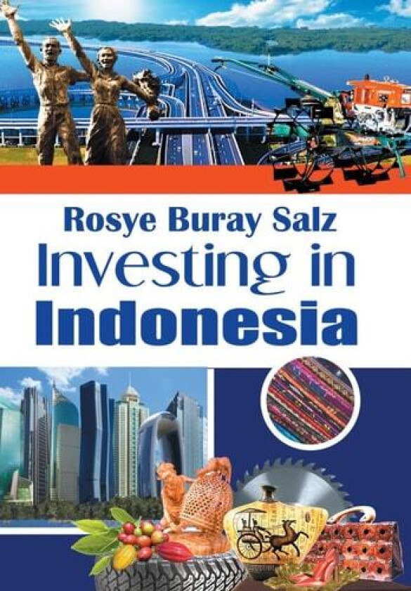 Investing in Indonesia av Rosye Buray Salz (Hardcover)