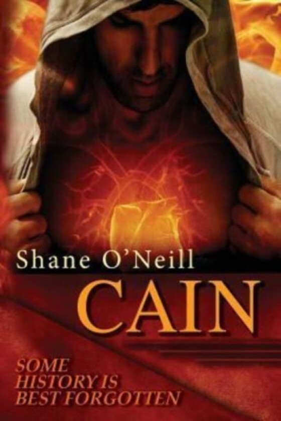 Cain av Shane O'Neill (Paperback)