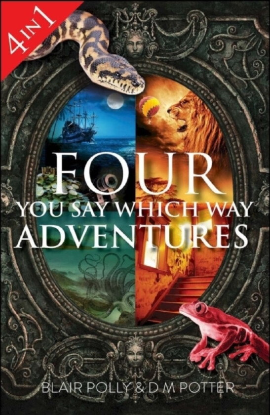 Four You Say Which Way Adventures av Blair Polly, DM Potter (Paperback)