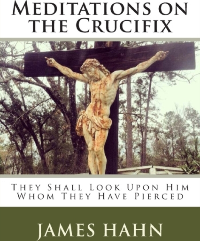 Meditations on the Crucifix av James M Hahn (Paperback)