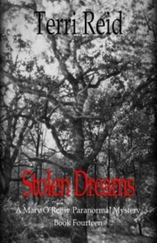 Stolen Dreams - A Mary O'Reilly Paranormal Mystery - Book Fourteen av Terri Reid (Paperback)