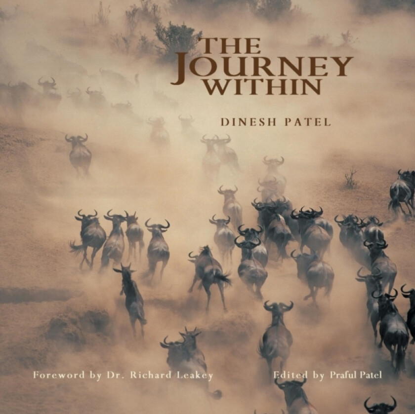 The Journey Within av Praful Patel, Dinesh Patel (Paperback)