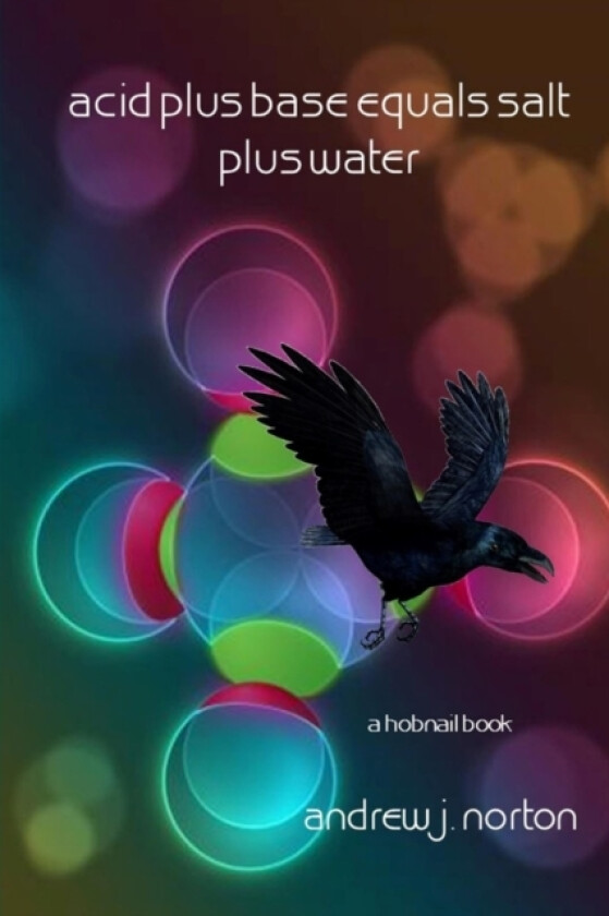 Acid Plus Base Equals Salt Plus Water av Andrew James Norton (Paperback)