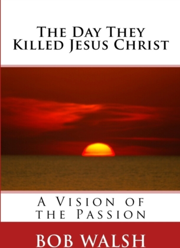 The Day They Killed Jesus Christ av Bob Walsh (Paperback)
