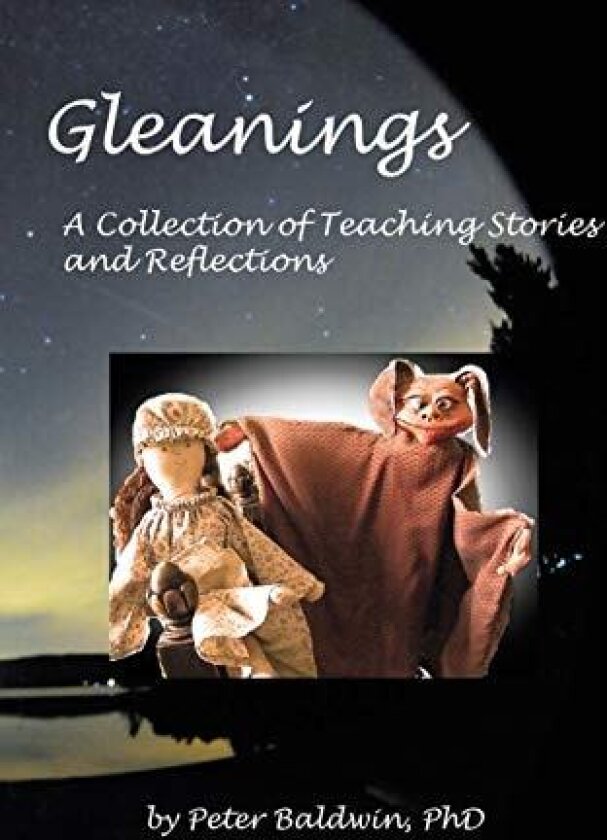 Gleanings: A Collection of Teaching Stories and Reflections av Peter Baldwin (Paperback)