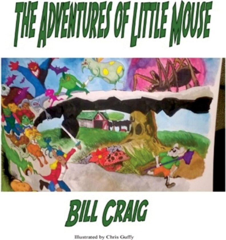 The Adventures of Little Mouse av Bill Craig (Paperback)