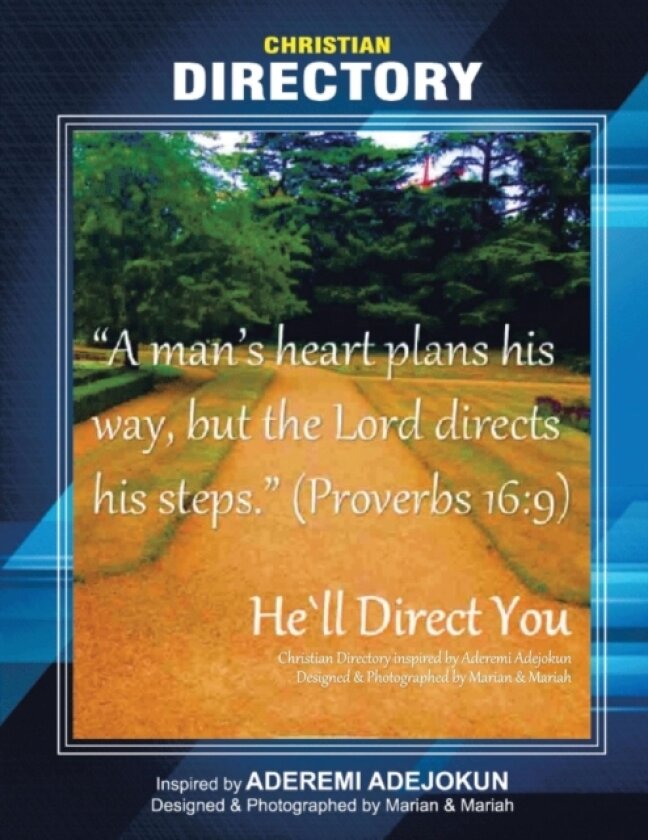 He'll Direct You av MS Aderemi Adejokun (Paperback)
