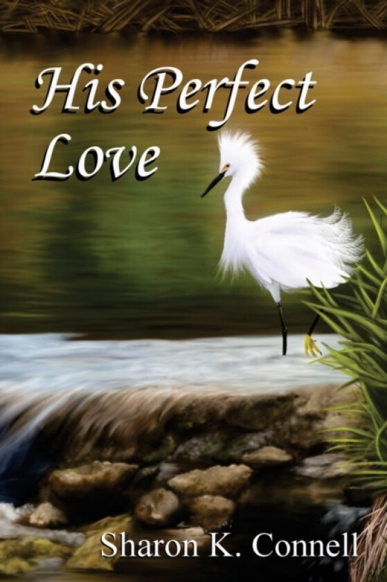 His Perfect Love av Sharon K Connell (Paperback)