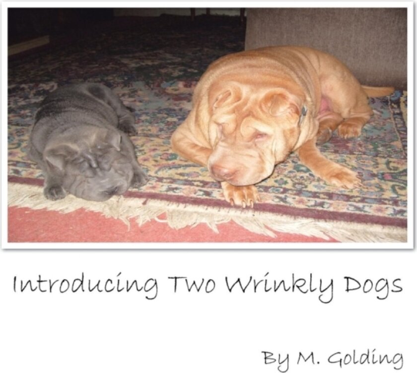 Introducing Two Wrinkly Dogs av M Golding (Paperback)