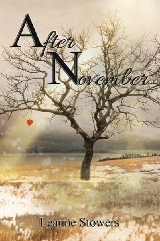 After November av Leanne Stowers (Paperback)