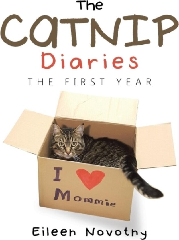 The Catnip Diaries av Eileen Novotny (Paperback)