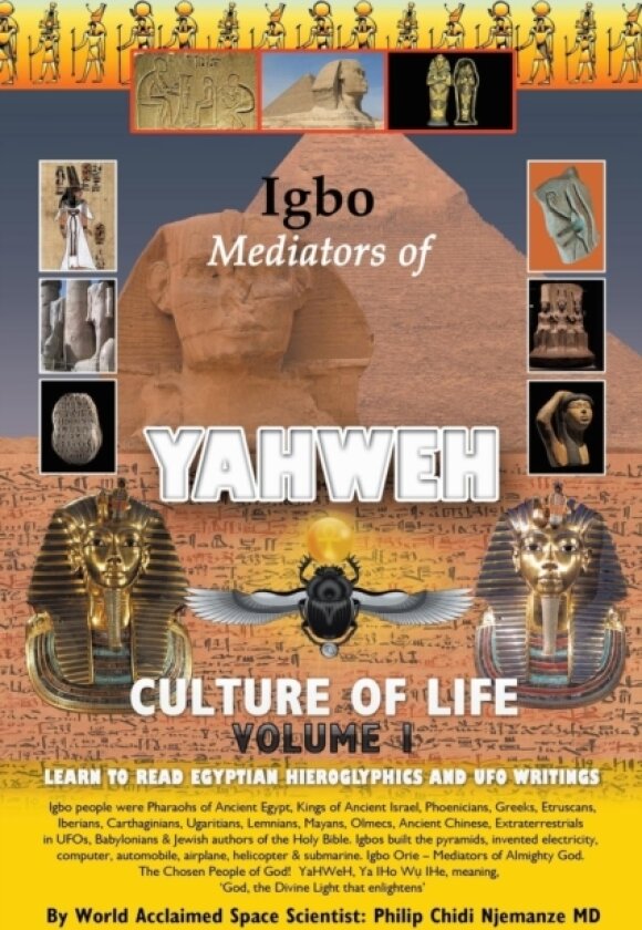 Igbo Mediators of Yahweh Culture of Life av Philip Chidi MD Njemanze (Paperback)