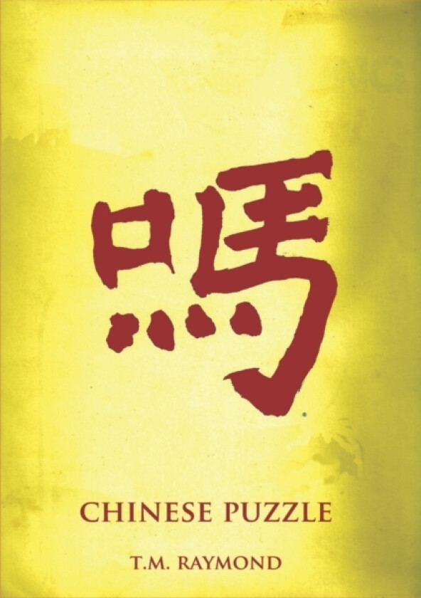 Chinese Puzzle av T M Raymond (Paperback)
