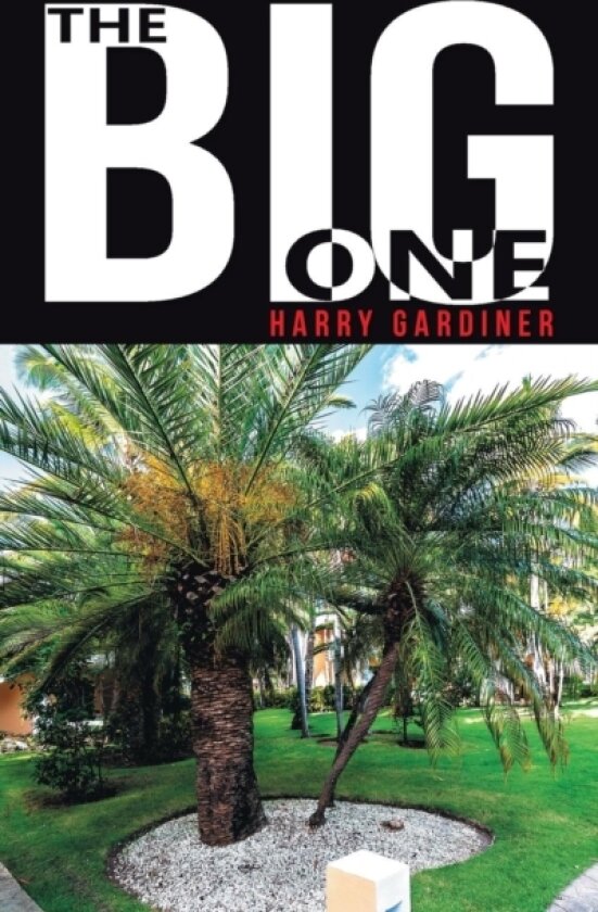 The Big One av Harry Gardiner (Paperback)