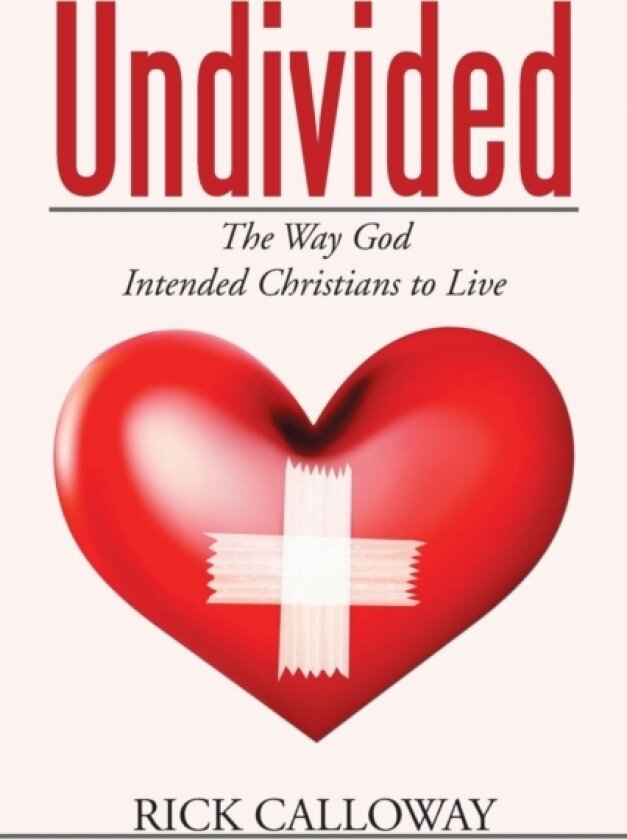 Undivided av Rick Calloway (Paperback)